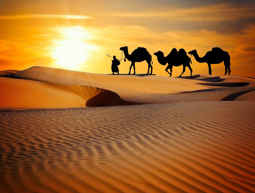 RAJASTHAN PACKAGES