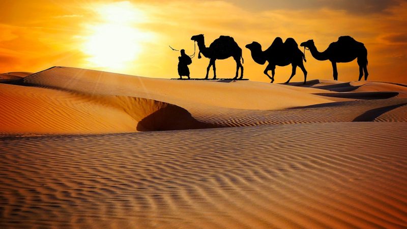RAJASTHAN PACKAGES